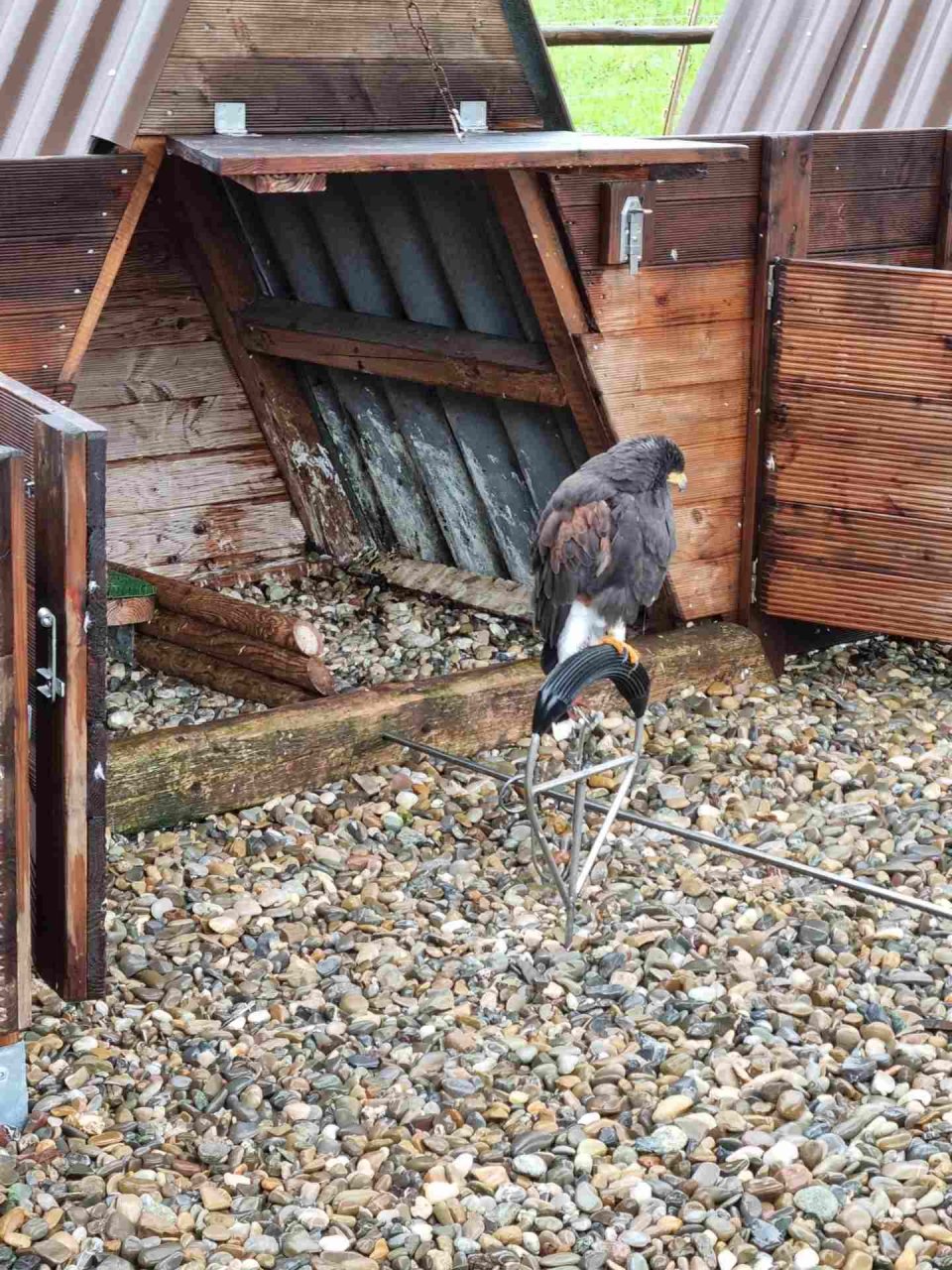 Oktober - Regionalwandertag Abtsgmünd